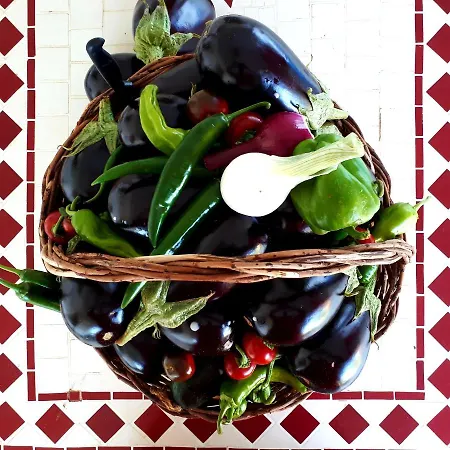 Masseria Salentina - Authentic Experience