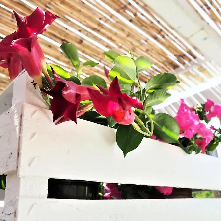 Aparthotel Masseria Salentina - Authentic Experience