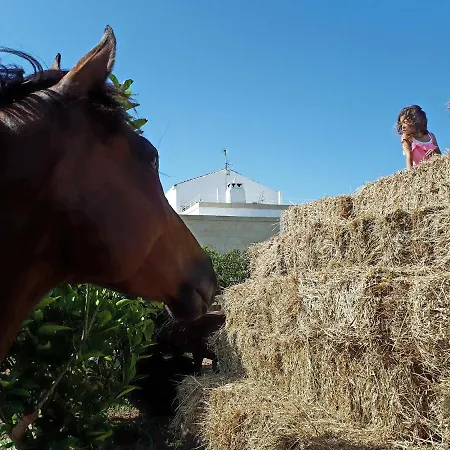 Masseria Salentina - Authentic Experience