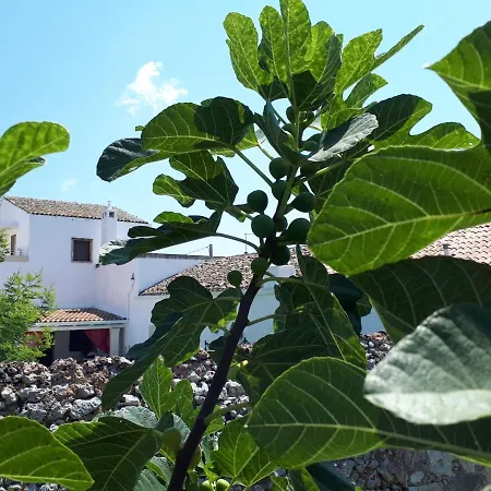 Masseria Salentina Costarella شقة فندقية