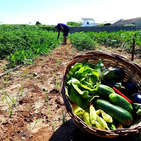 Masseria Salentina Costarella *