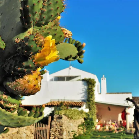 Masseria Salentina Costarella * Borgagne