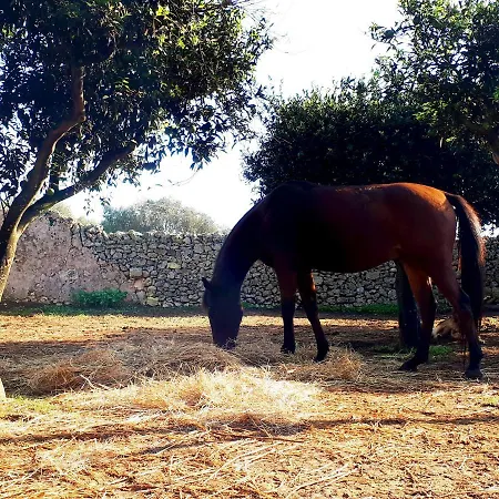 Masseria Salentina Costarella Borgagne