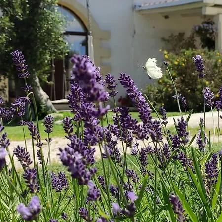 Masseria Salentina Costarella